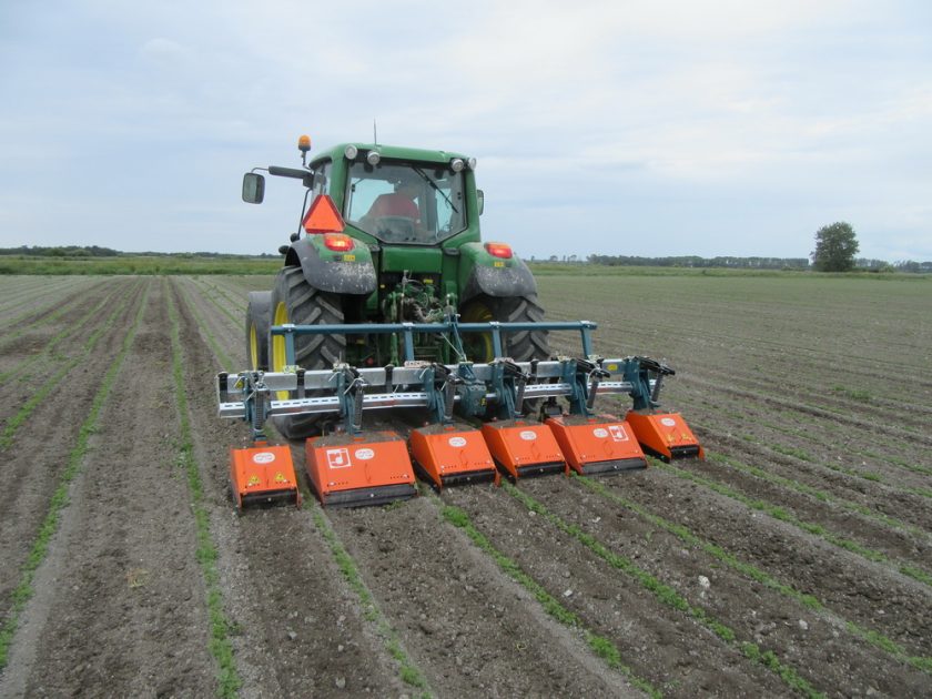 Multivator rotary powered cultivator on Deere tractor