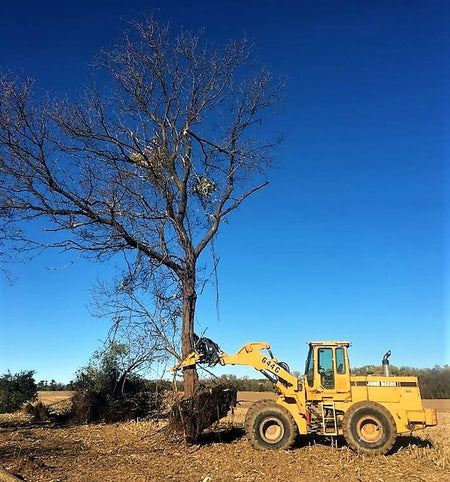 dominator tree puller