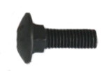 Carriage Bolt