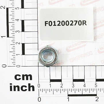 F01200270R, Nut M10