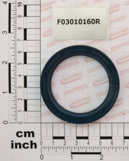 F03010160R, oilseal