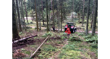 Woodlot Clearing with a Fransgård Timber Winch