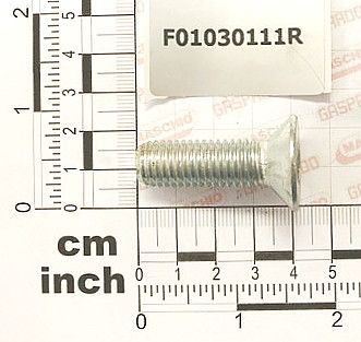 F01030111R, Metric bolt