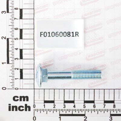 F01060081R, metric bolt